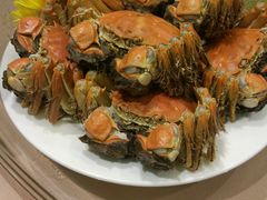 -王宝和酒家(黄浦店)