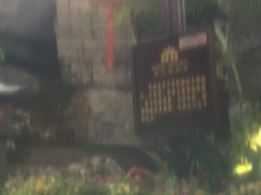 景点-东方华地城湿地温泉度假区