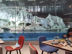 -帝企鹅自助餐厅•儿童岛•真企鹅(长隆企鹅酒店)