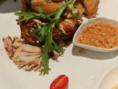 -青叶202都市餐厅(迪诺水镇店)