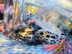 可可爱爱-德胜轩正宗顺德菜(宝安沙井会展中心店)