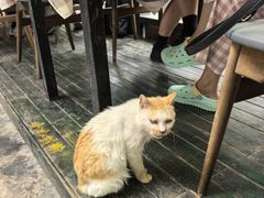 -北京水岸山吧度假村(雁栖镇店)