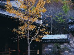 -塔川景区