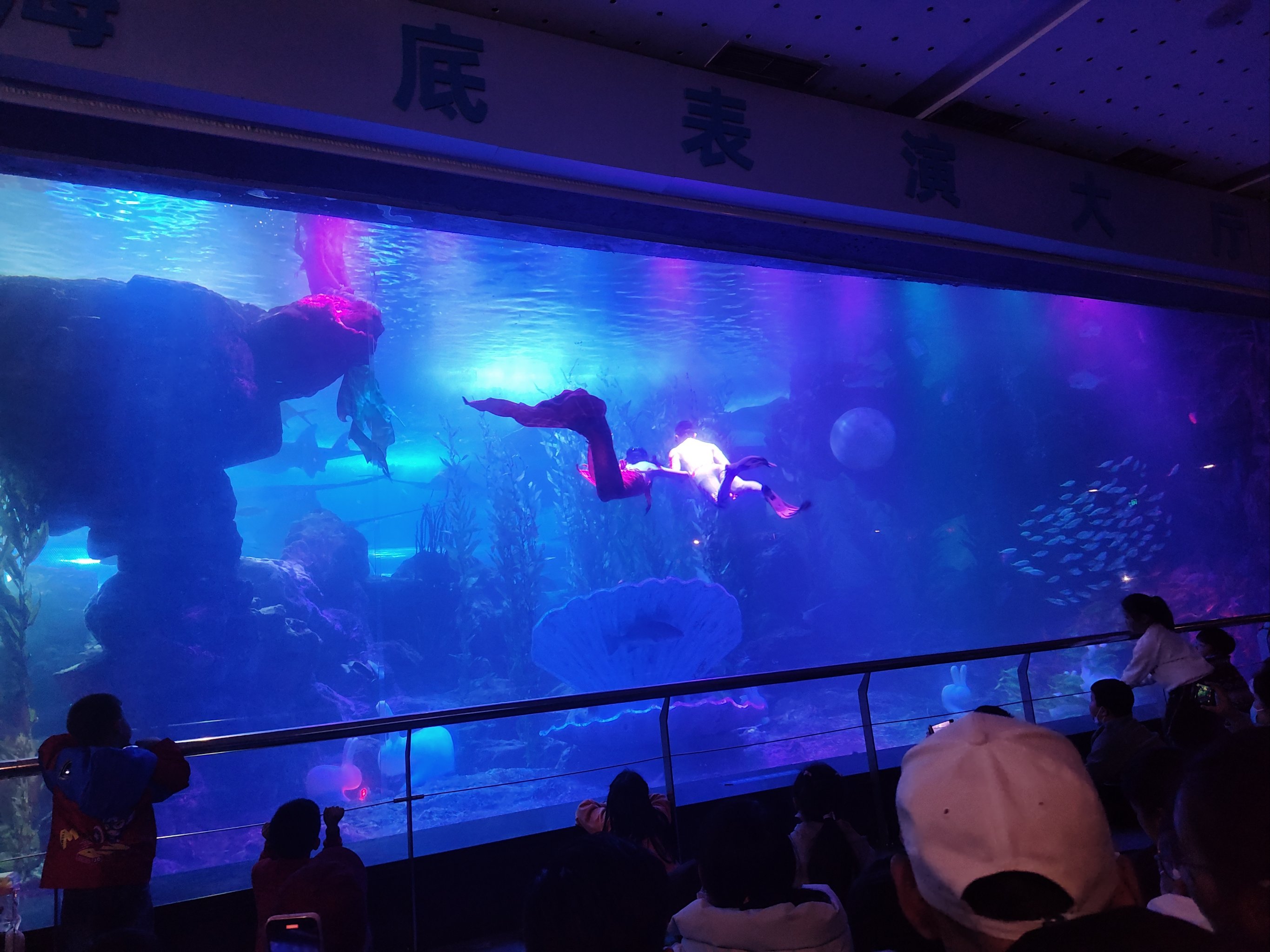 太原水族馆图片