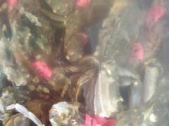 -宾朋海鲜特色美食餐厅·纯手工鲅鱼水饺(兴海路店)