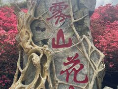 -木兰云雾山