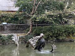-汇龙潭