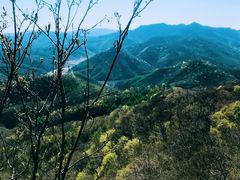 -天女山森林公园