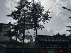 -萨尔浒风景区