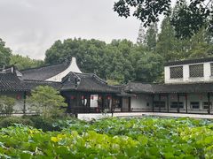 -上海醉白池公园