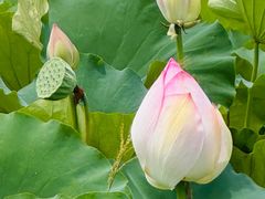 -梁鸿国家湿地公园