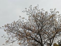 -葛仙湖公园