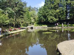 -庐山风景区花径公园