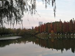 -艾溪湖湿地公园