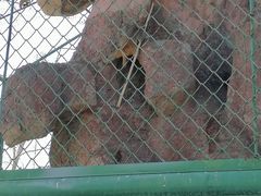 -新疆天山野生动物园