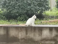 -长安大学(北校区)