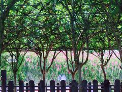 -武汉紫薇都市田园