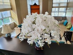 -南堂馆·新川菜(天府三街店)