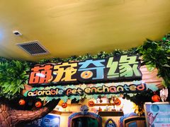 -萌宠奇缘