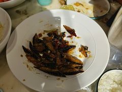 -天天鱼港·海鲜·鲅鱼水饺·招牌烤鸭(黄骅店)