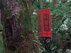 -广州兰圃