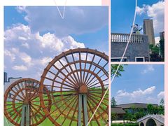 -洋湖国家湿地公园