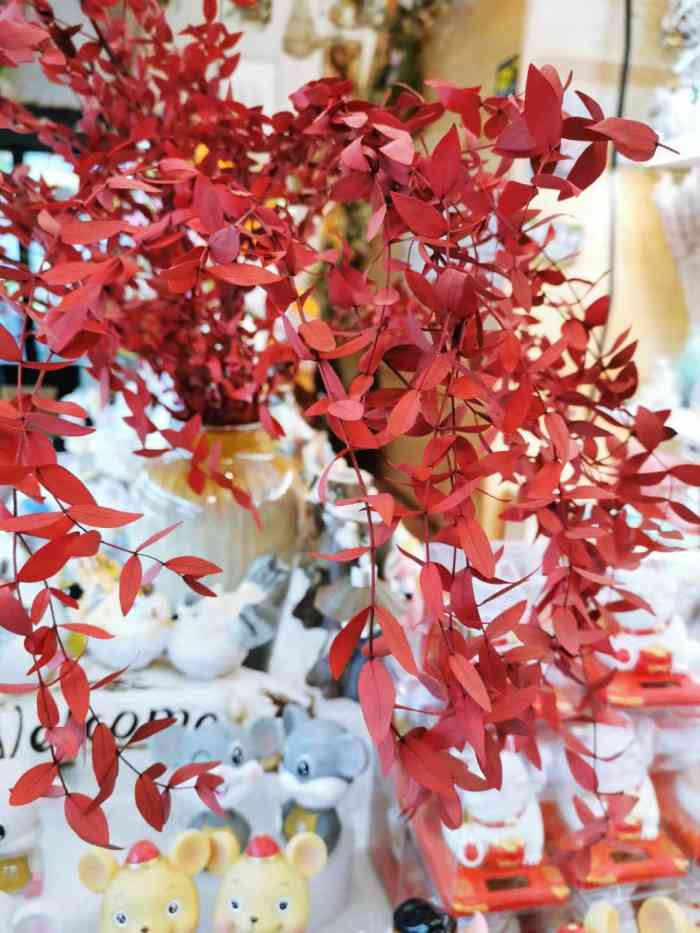 kapok flower木绵花-"老板人超好 很热情 审美眼光也棒棒哒 给.