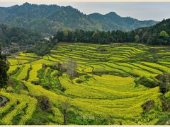 -灵山景区梯田