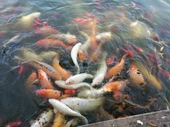 -月牙潭公园
