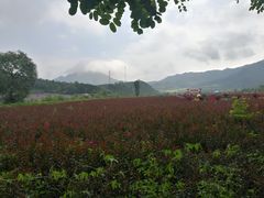 -忆乡情铁锅炖鱼饭店(延庆店)