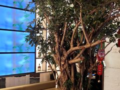 -桂满陇·海市蜃楼·黑金(国金店)