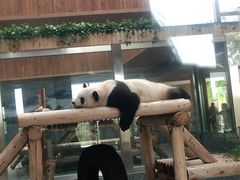 -西安秦岭野生动物园