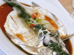 -黄鹤楼湖北特色菜(高碑店)