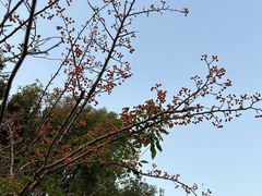 -九里河湿地公园