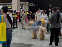 -东浩兰生上海世博展览馆