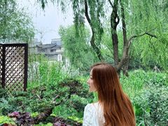 -长兴太湖图影湿地文化园