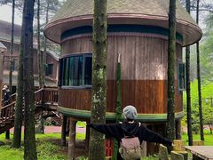 -洛阳白云山景区