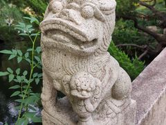-上海醉白池公园