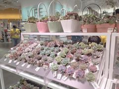 -KKV(深圳宏发大仟里店)