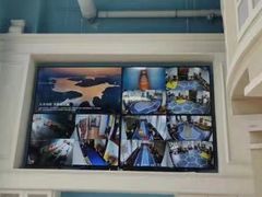 -早慧树儿童感觉统合体能训练中心(市北校区)