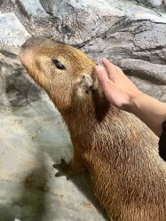 -Zoolung Zoolung动物主题公园(海信广场店)