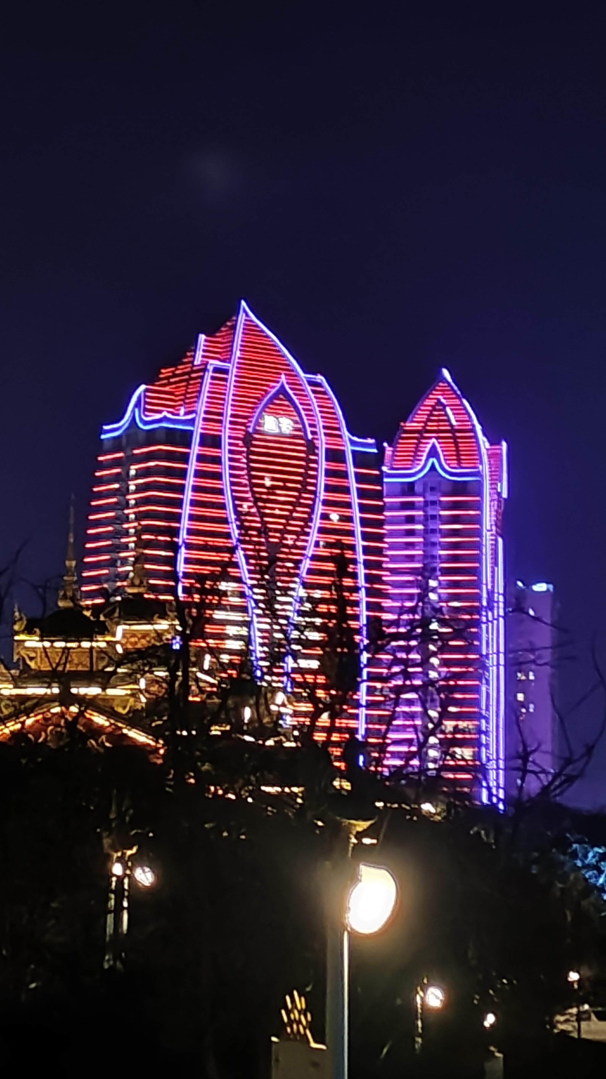 西双版纳雨林时光酒店图片