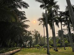 -中国科学院西双版纳热带植物园