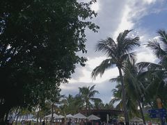 -芽庄珍珠岛游乐园