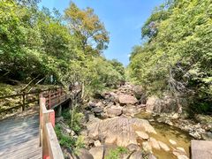 -广州白江湖森林公园