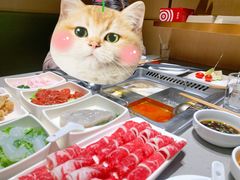 -海底捞火锅(翔龙天地广场店)