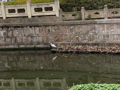 -兰溪青年公园