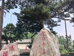 -妙峰山风景名胜区