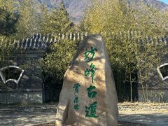 -阳台山自然风景区