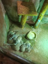 点击看大图 -宝燕乐园(闵行旗舰店)